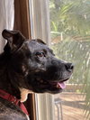 Gigi - Photo 3