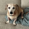 Tucker - Photo 2