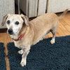 Tucker - Photo 4