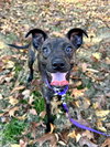 Winnie - Photo 1