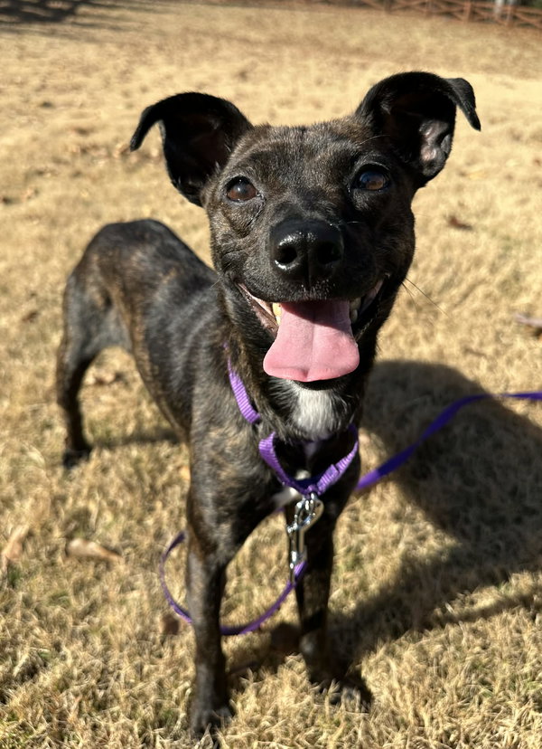 Winnie