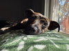 Winnie - Photo 2