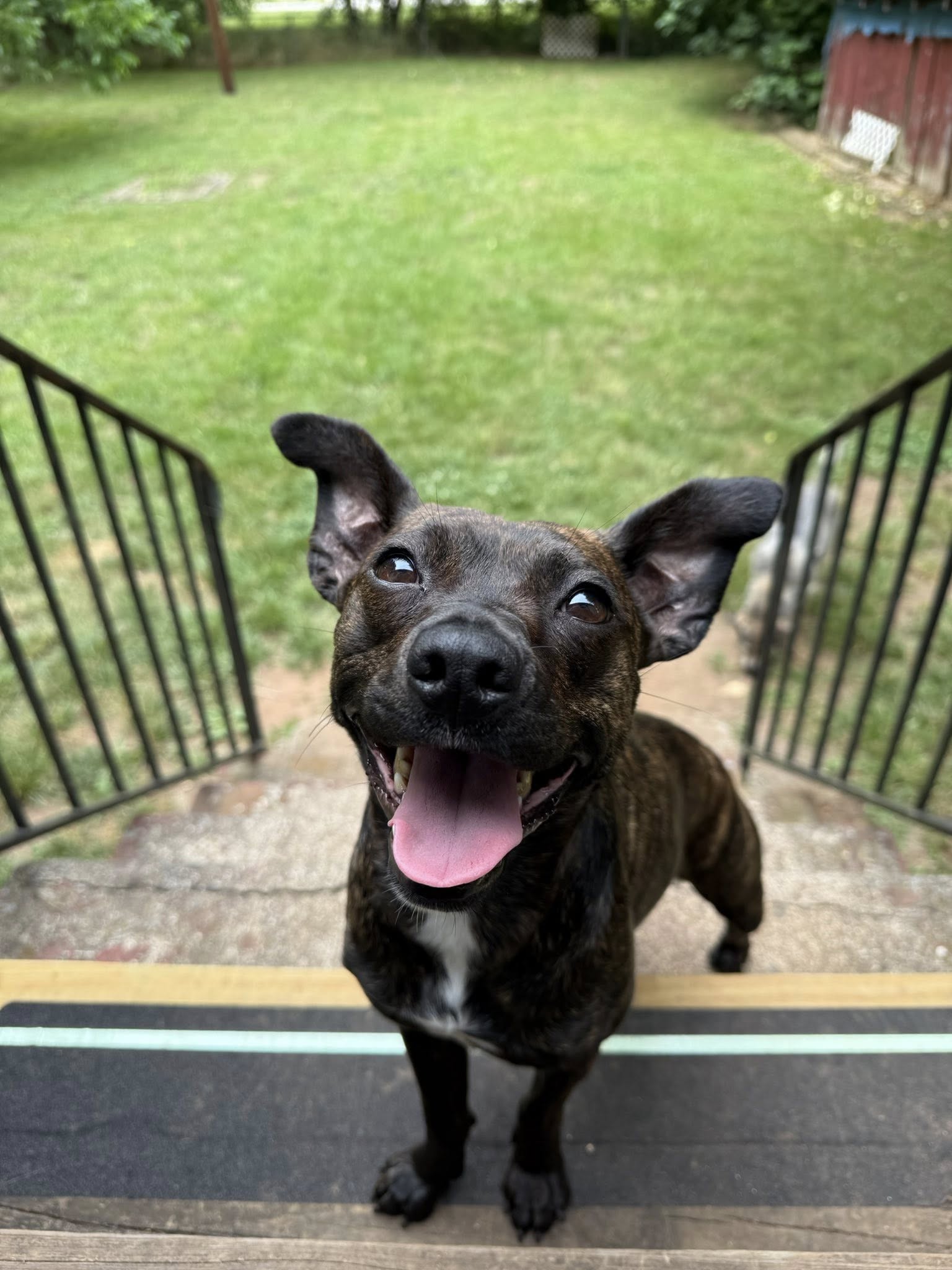 Winnie