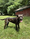 Winnie - Photo 2