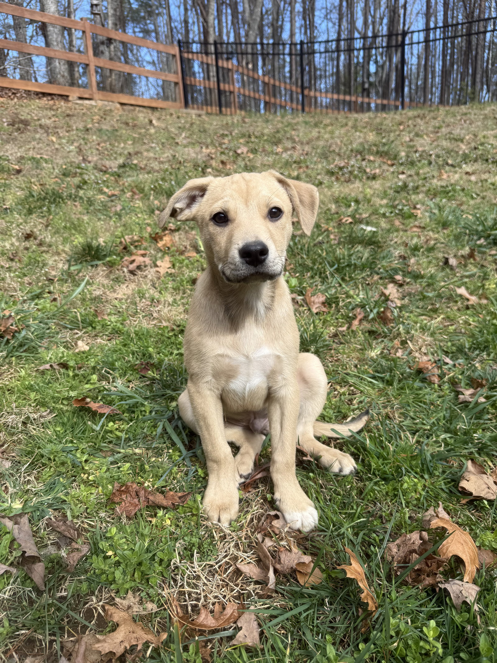 Ted