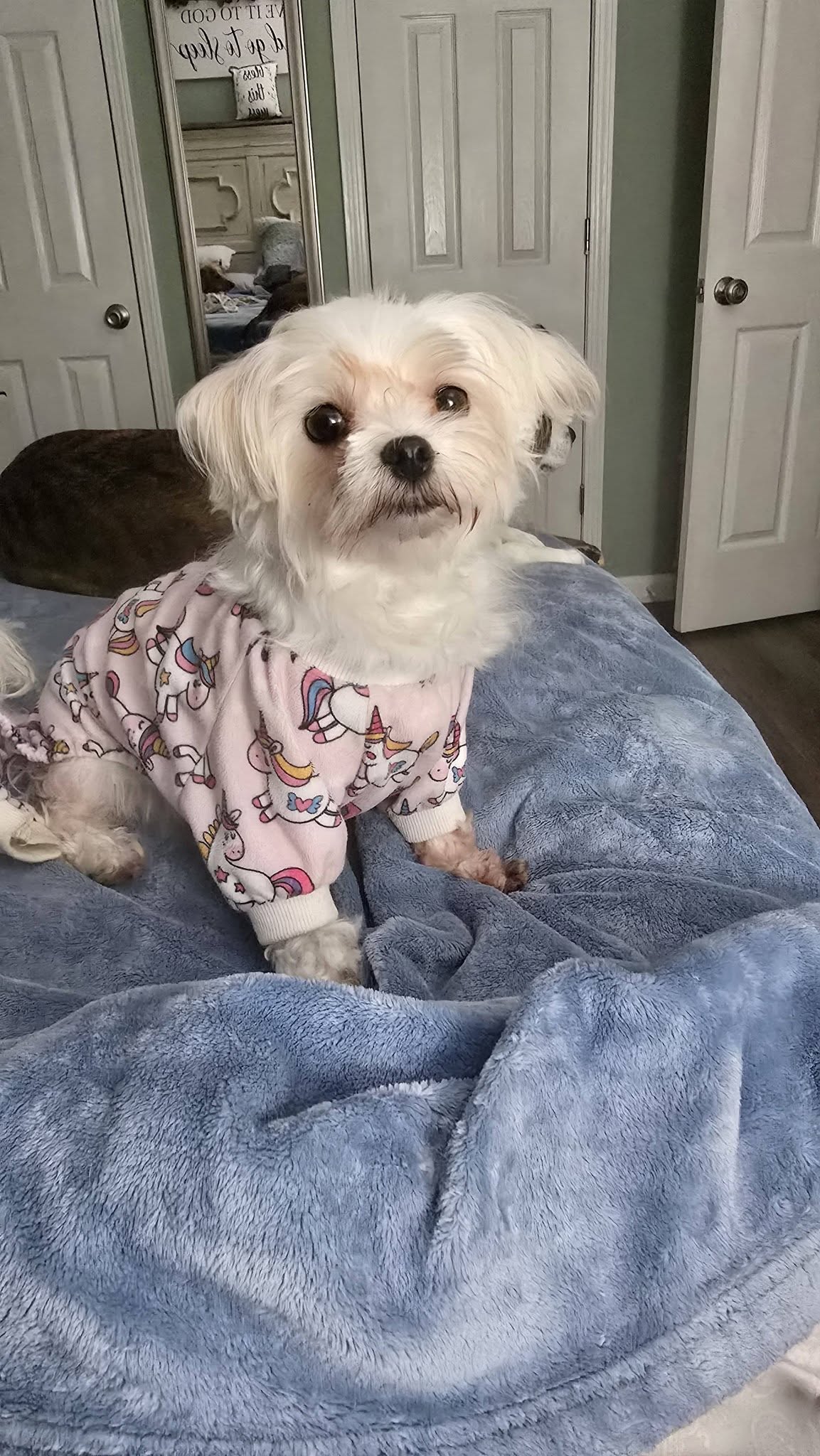 Muffy