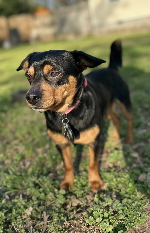 Darwin