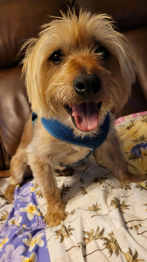 Winston