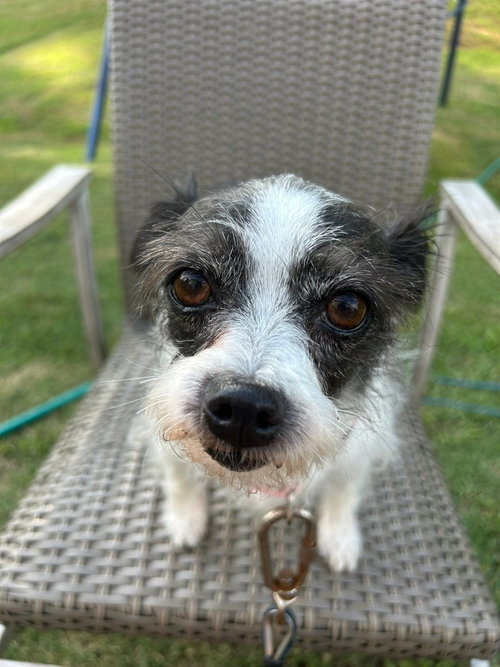 Laverne photo 2