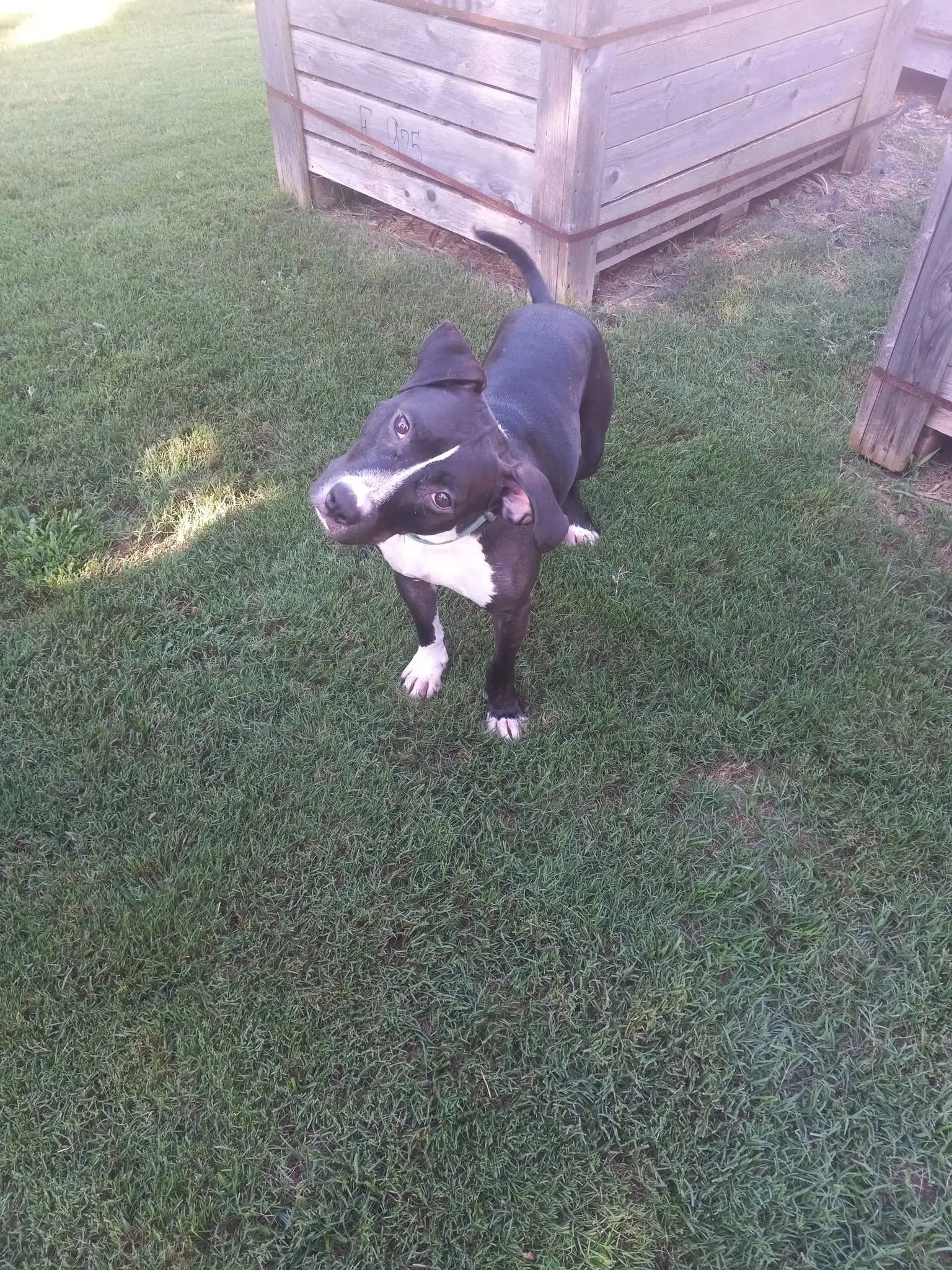 Wyatt image 2