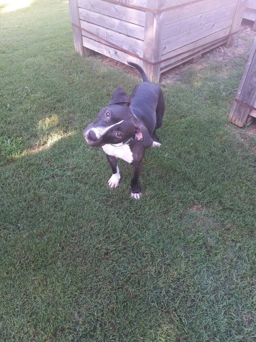 Photo 2 of Wyatt