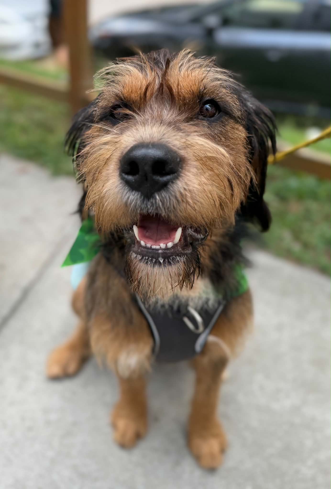 Walter image 2