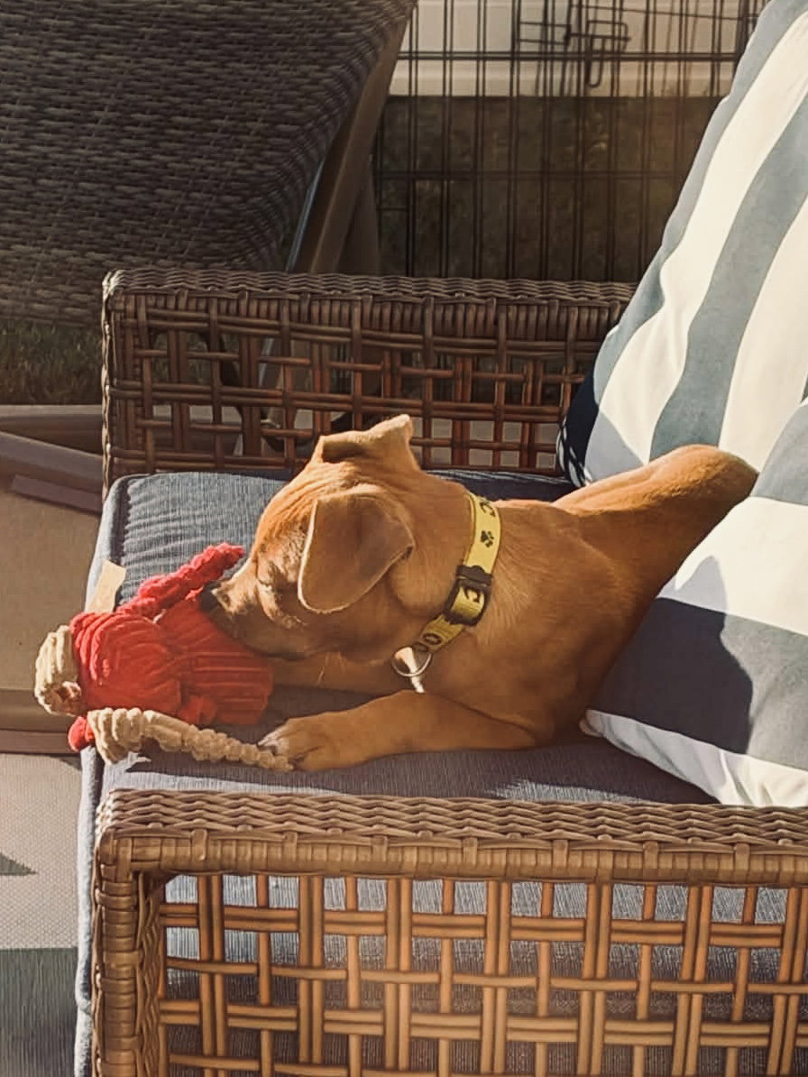 Slim Jim, photo 3