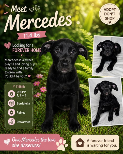 Mercedes