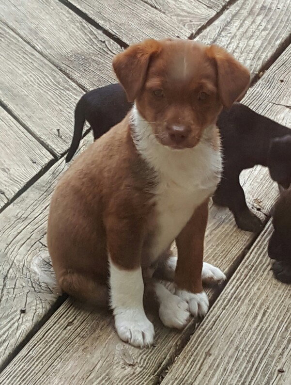 Baby Boy River