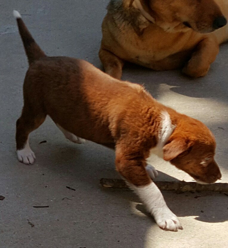 Baby Boy River