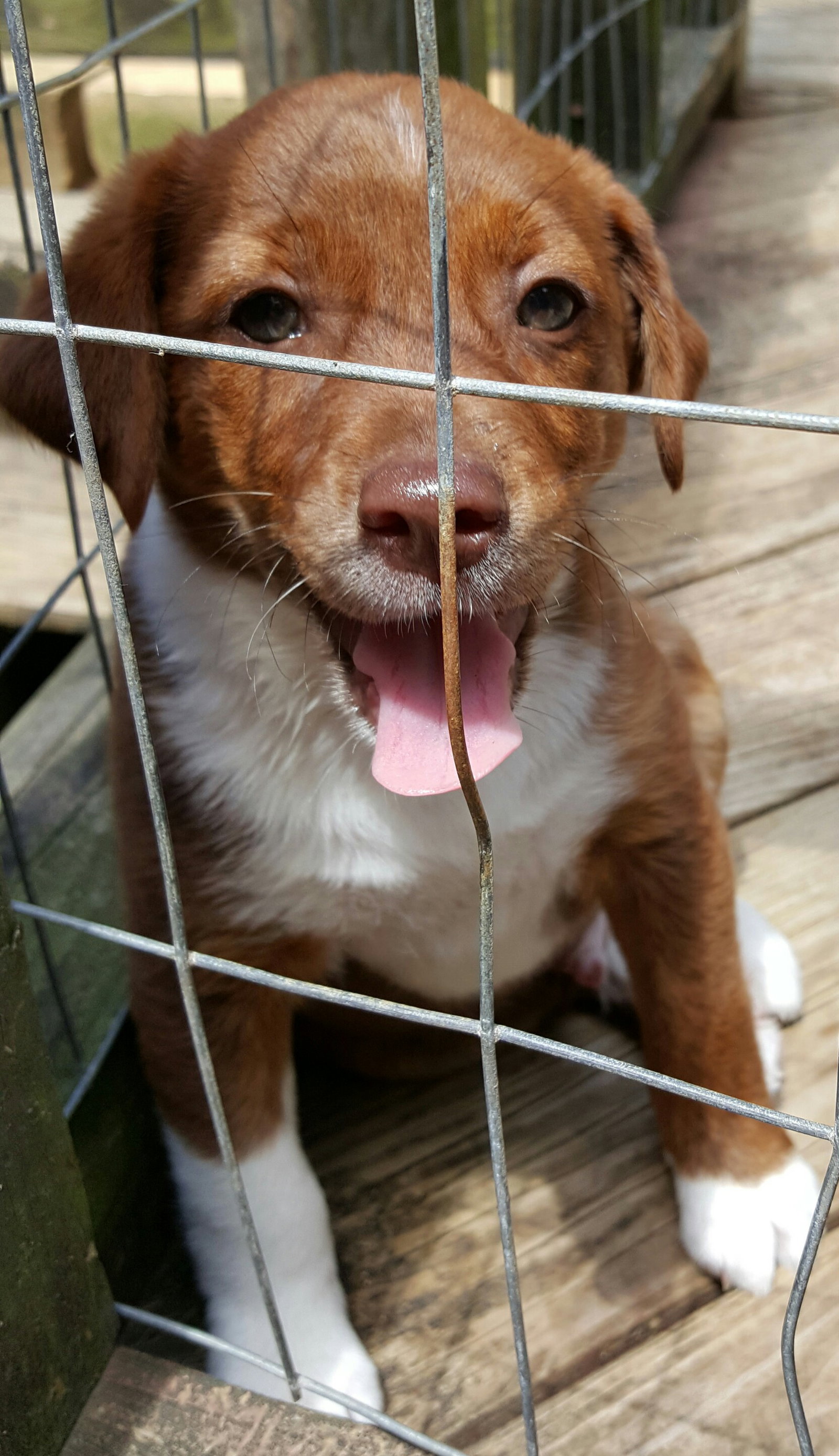 Baby Boy River