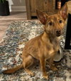 Rocky - Photo 2