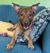 Rocky - Photo 3