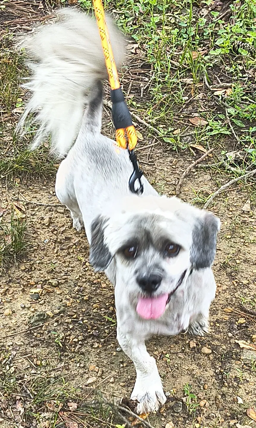 Tucker image 3