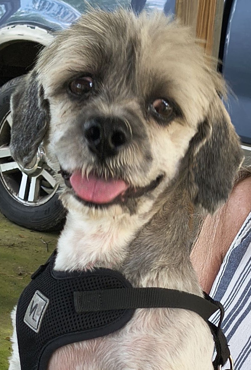 Tucker Image