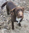 Boone - Photo 1
