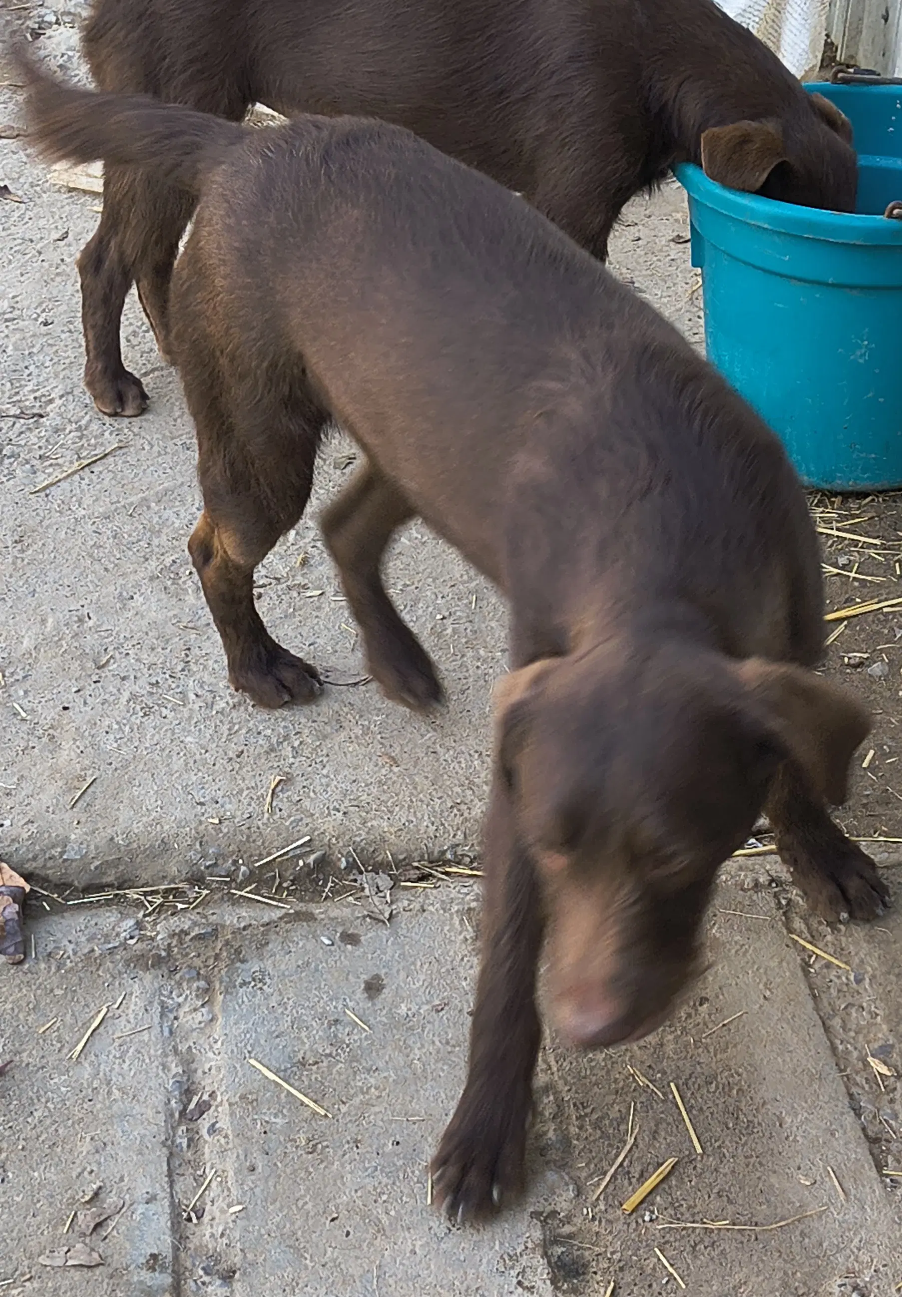 Boone image 3