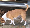Annie - Photo 3