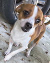 Annie - Photo 4
