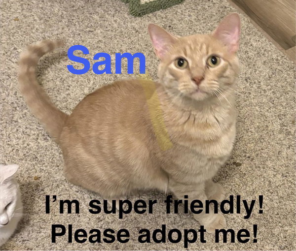 Sam
