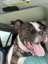 Patsy - Photo 4
