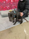 Malcolm - Photo 3