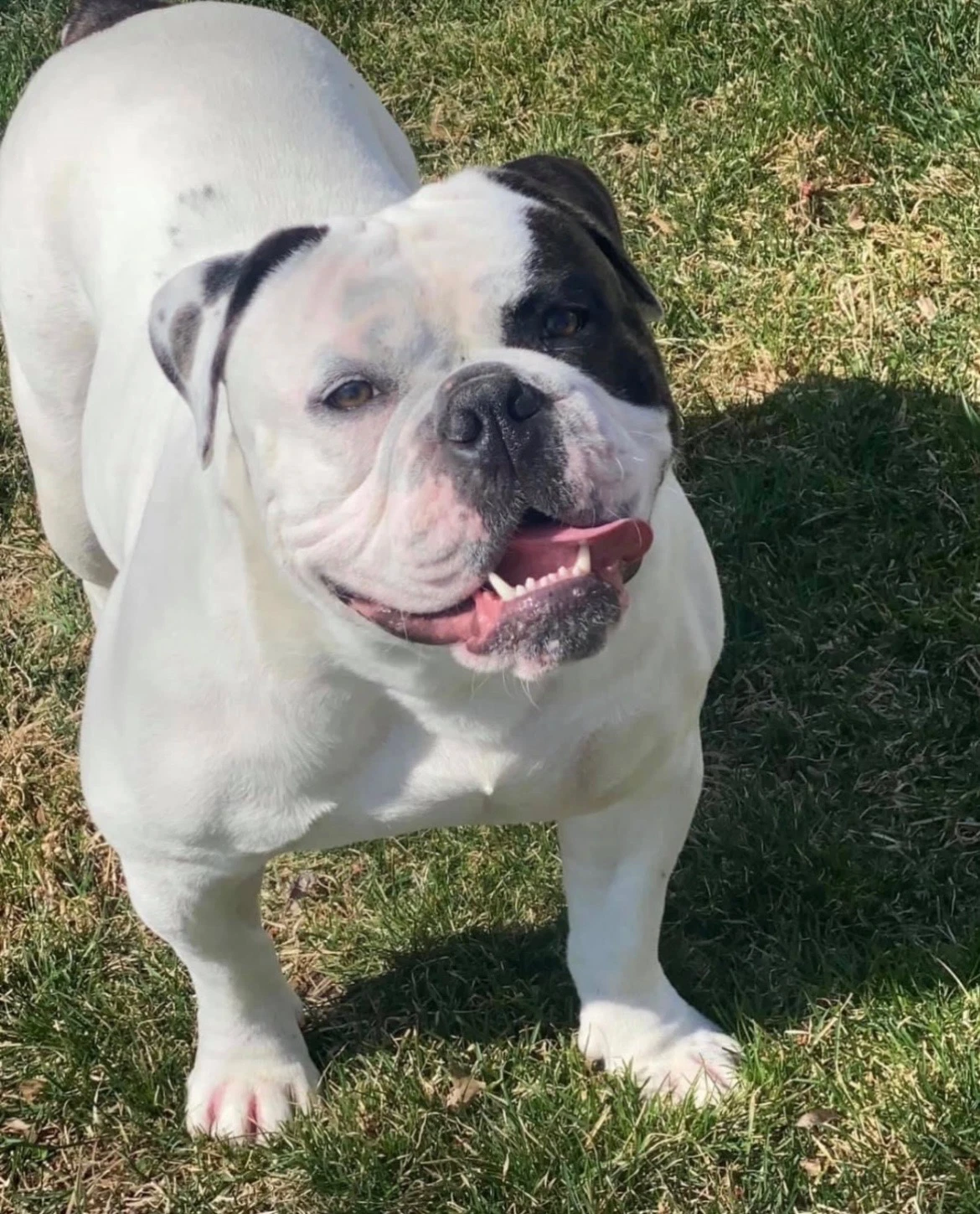 Chunk Courtesy Post