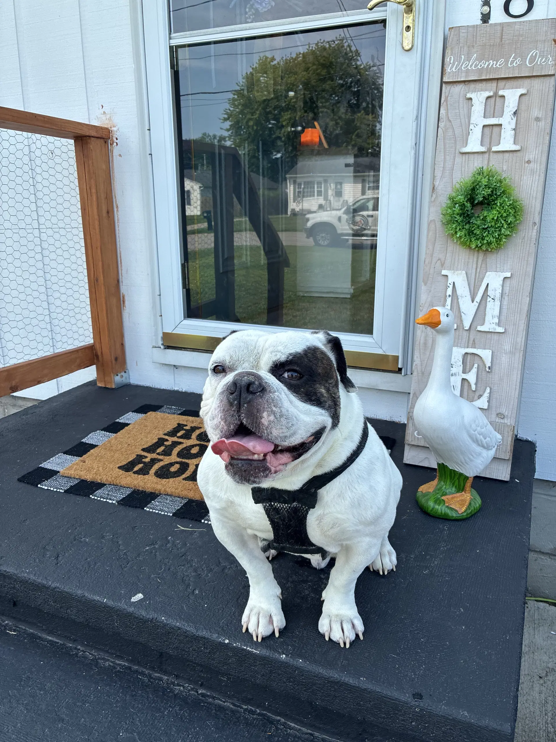 Chunk Courtesy Post image 2