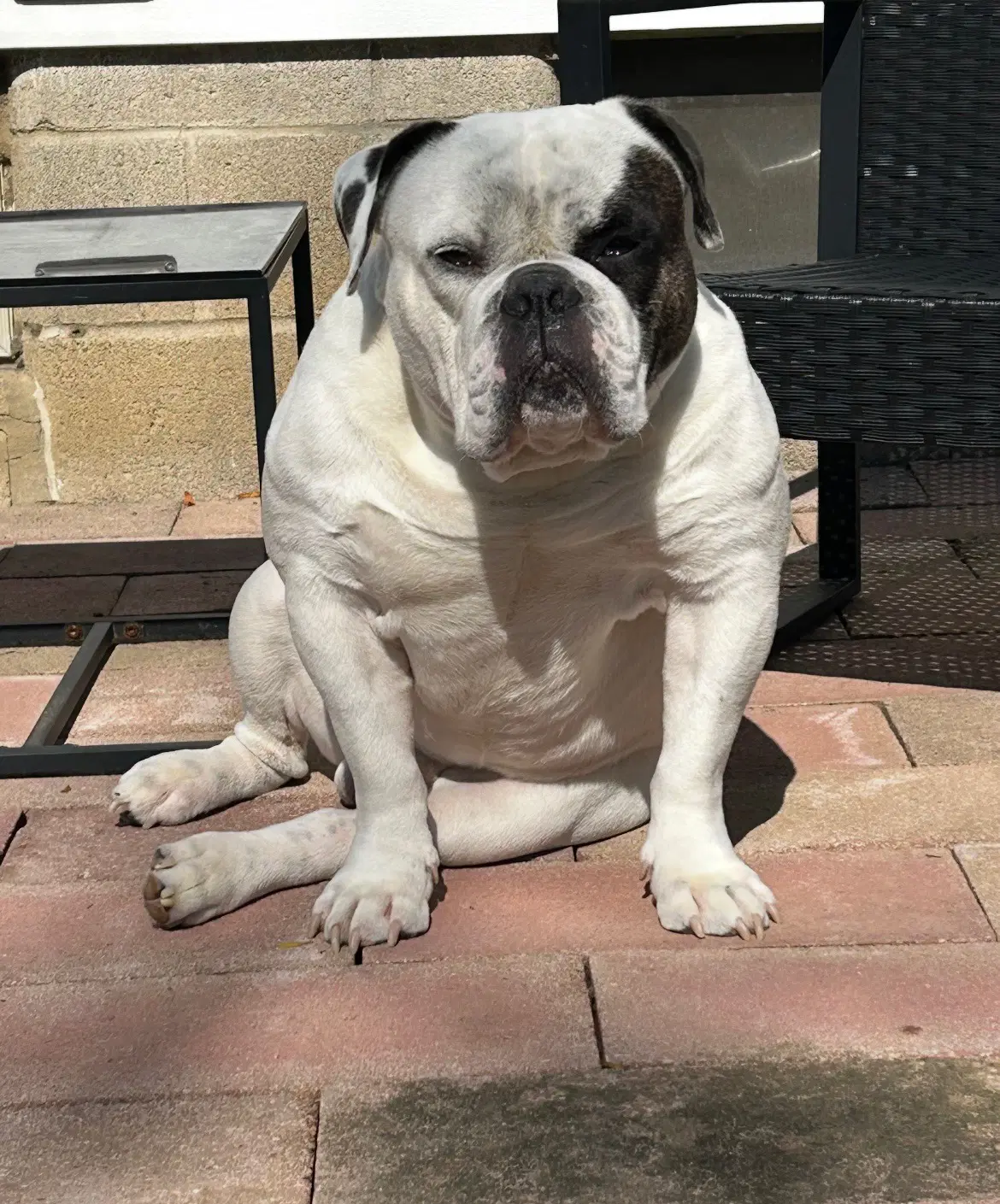 Chunk Courtesy Post image 3