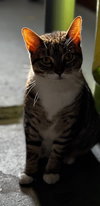 Sweetness - Photo 4
