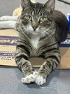 Duffy - Photo 4