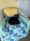 Coal - Photo 3