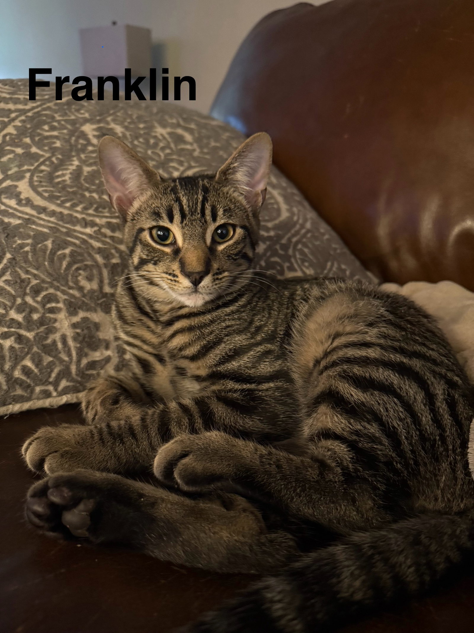 Franklin Image