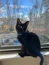 Billy - Photo 4
