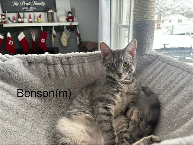 Benson Image