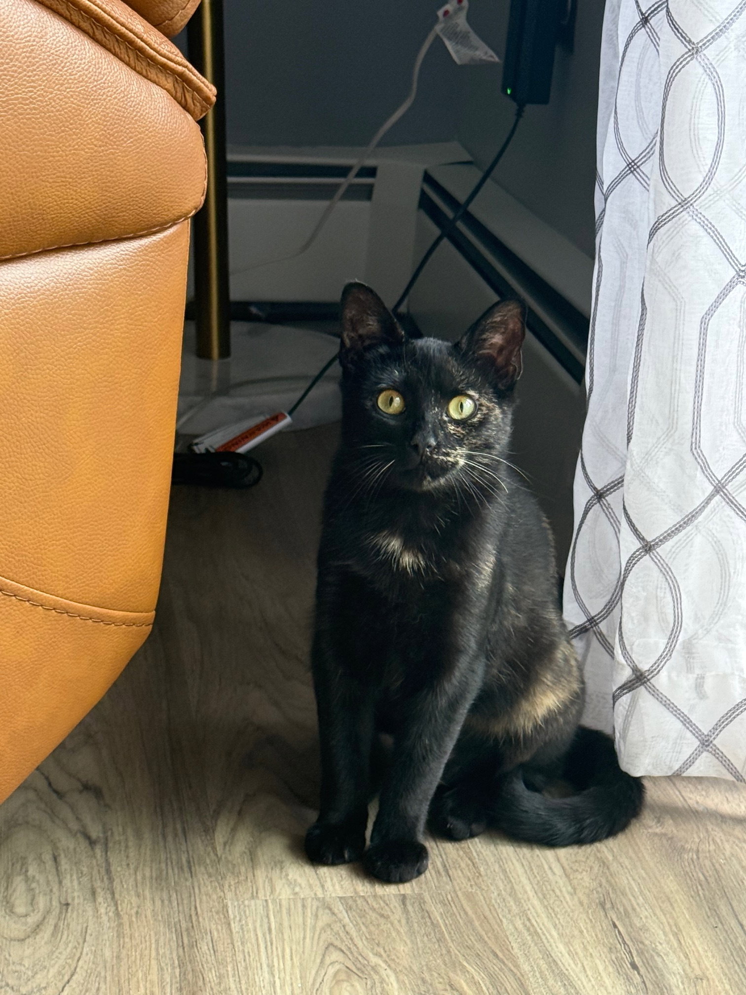 Vivienne Image