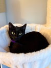 Lainey - Photo 1
