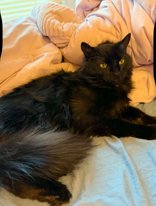 Binx
