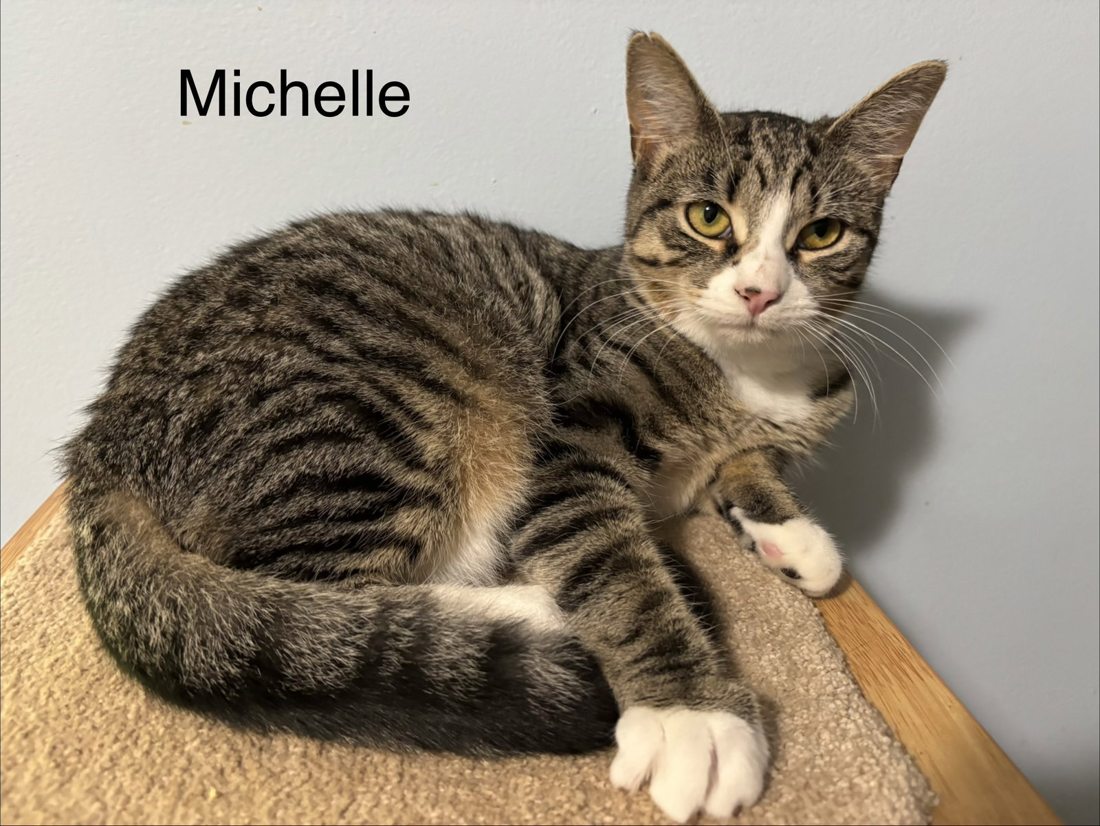 Michelle