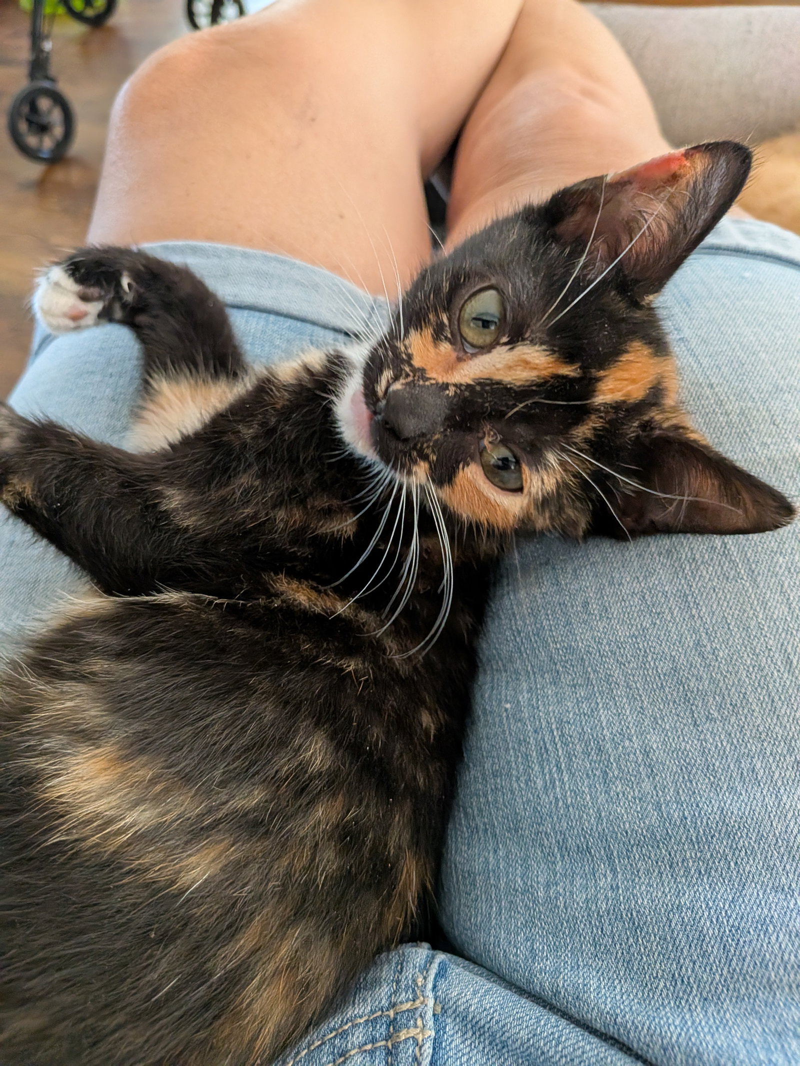 Pepsi, photo 2