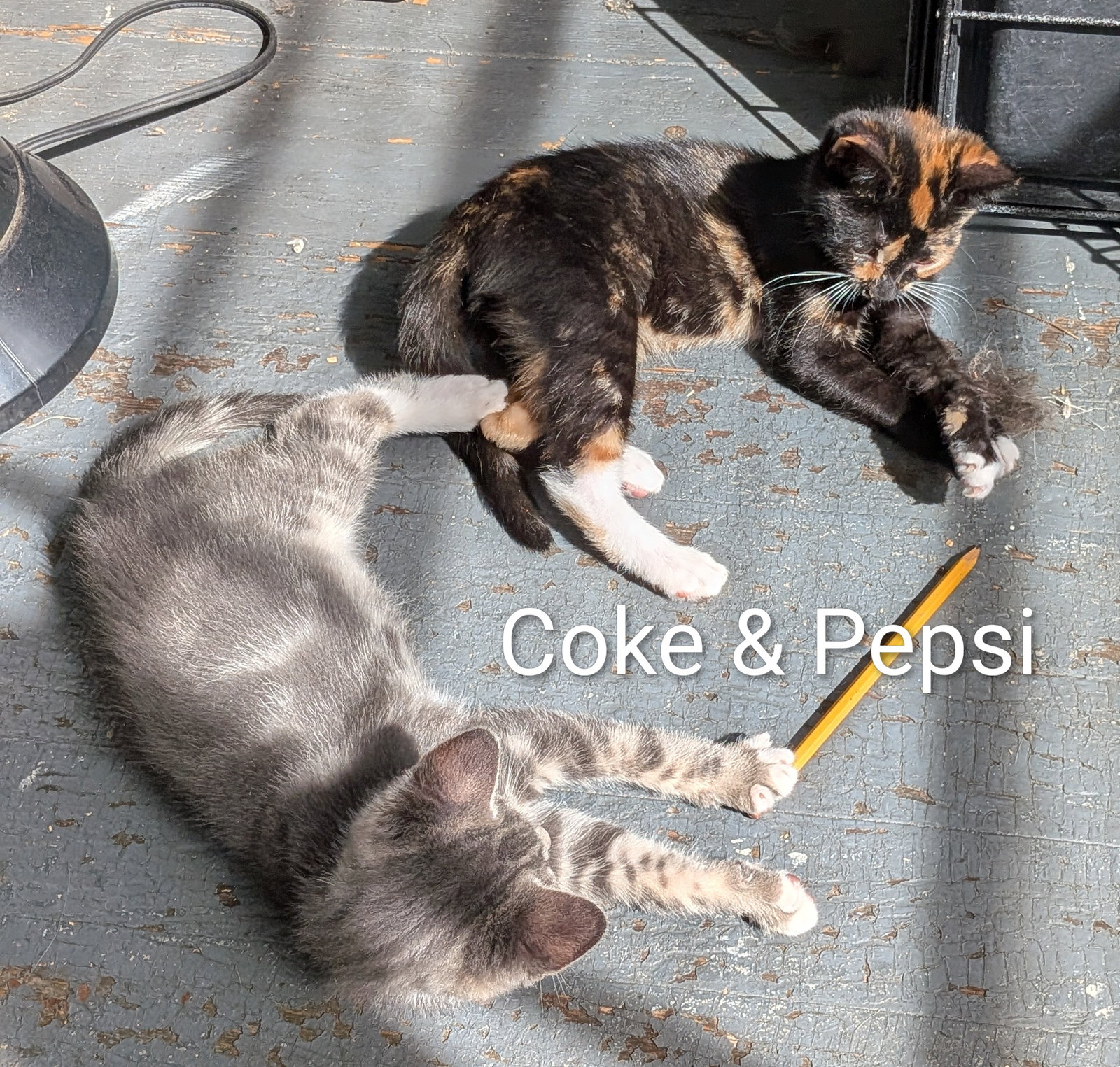 Pepsi, photo 5
