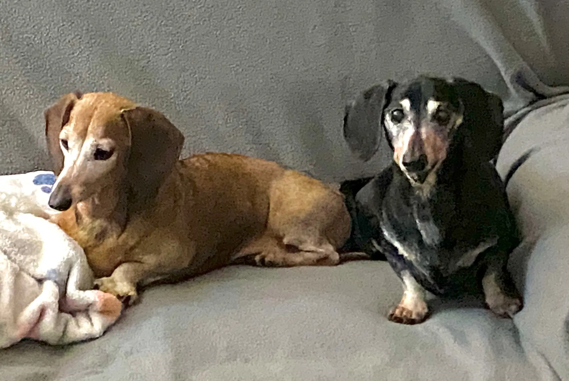 Mara  Emily image 3