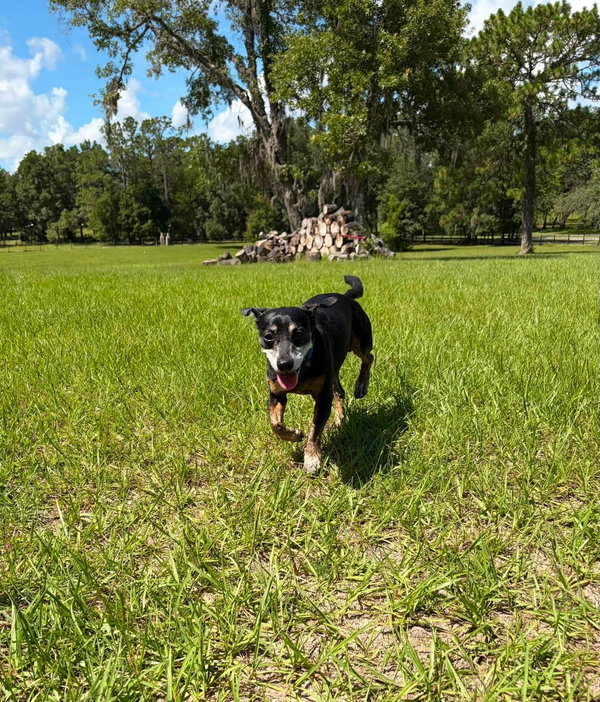 Charlie
