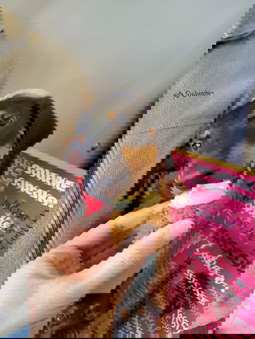 Ragnor